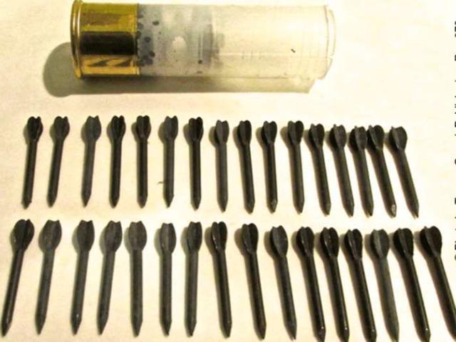 双独头弹（double slug）可能美国人觉得一颗弹头怕太孤独