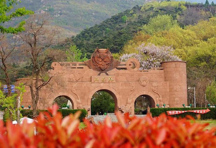 国内花果山有10多个，还有的直接用水泵，真的就在这城市