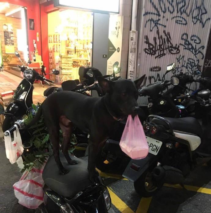 囧哥:男子腿卡护栏 大声呼救被当耍酒疯 金鸡独立一整晚
