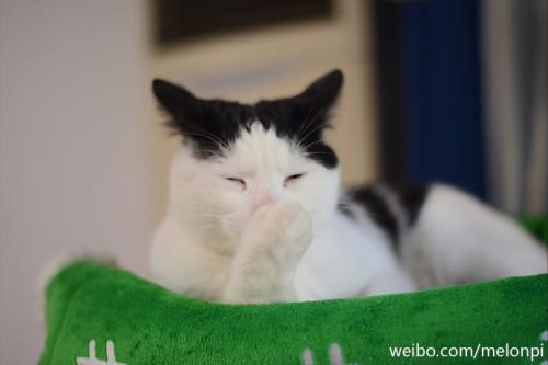 囧哥:男子腿卡护栏 大声呼救被当耍酒疯 金鸡独立一整晚