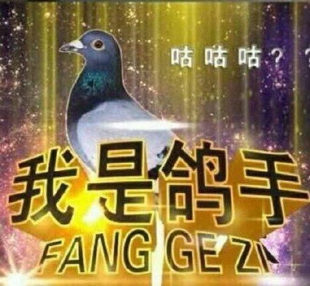 囧哥:男子腿卡护栏 大声呼救被当耍酒疯 金鸡独立一整晚