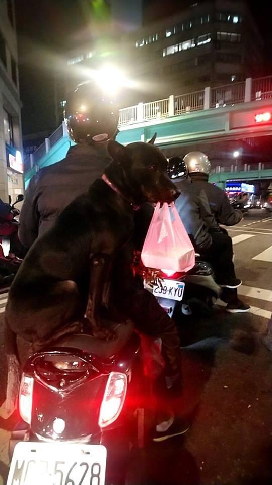 囧哥:男子腿卡护栏 大声呼救被当耍酒疯 金鸡独立一整晚