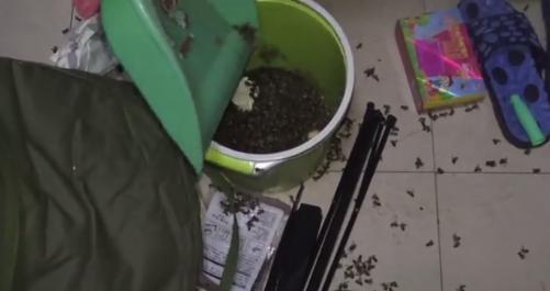 囧哥:男子腿卡护栏 大声呼救被当耍酒疯 金鸡独立一整晚