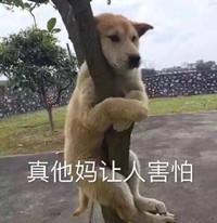 囧哥:男子腿卡护栏 大声呼救被当耍酒疯 金鸡独立一整晚