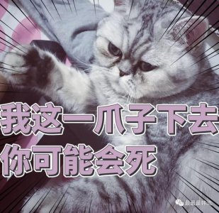 ​倒贴前辈炒作恋情？被喷戏精蹭热度的她冤吗？