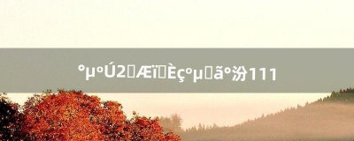​暗黑2圣骑士如何加点,版本1.11（暗黑2平民圣骑士加点)