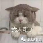 她这是被歧视了？