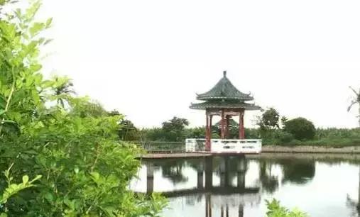 来吴川，绝对不能错过的地方