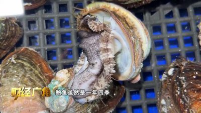 ​夏季的海鲜市场，有哪些独有的鲜味？