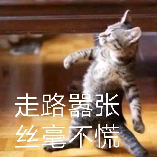 拿走拿走别客气，赶走烦恼无压力