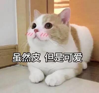 拿走拿走别客气，赶走烦恼无压力