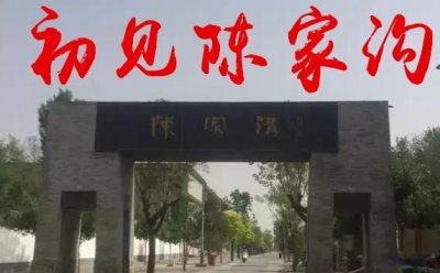 ​50年后陈家沟老人们再走回老路：重新启动陈照丕当年传拳模式