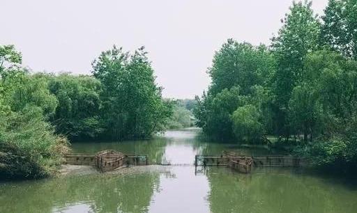 江苏被遗忘的5A景区：溱湖国家湿地公园