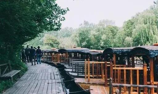 江苏被遗忘的5A景区：溱湖国家湿地公园