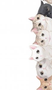 ​「美图 壁纸」你要的卡通猫咪壁纸