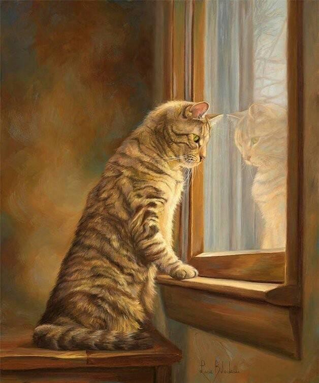 「美图 壁纸」你要的卡通猫咪壁纸