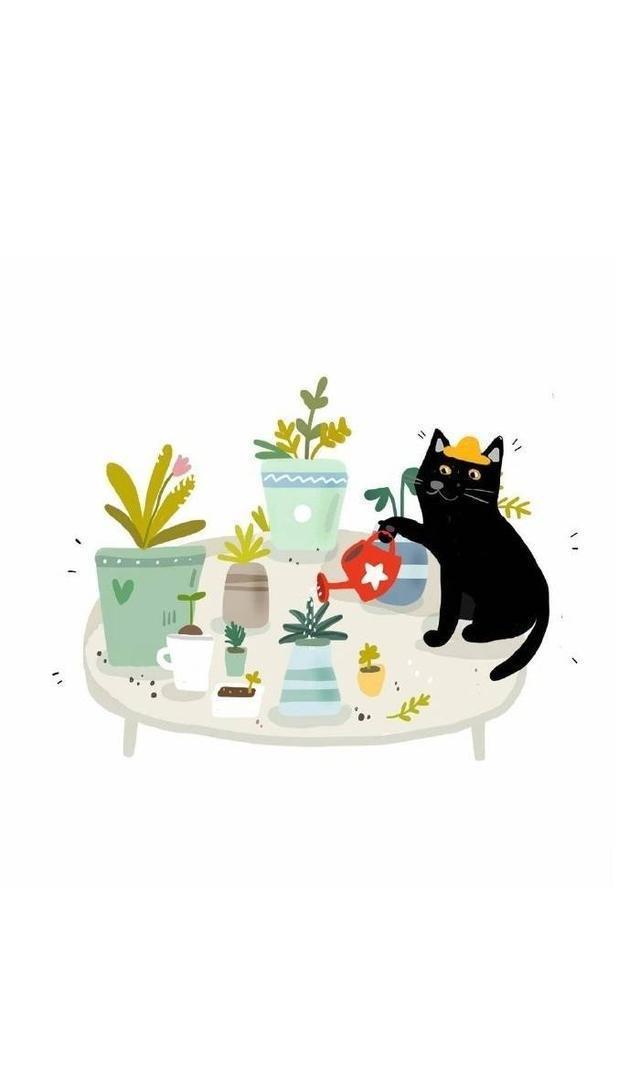 「美图 壁纸」你要的卡通猫咪壁纸