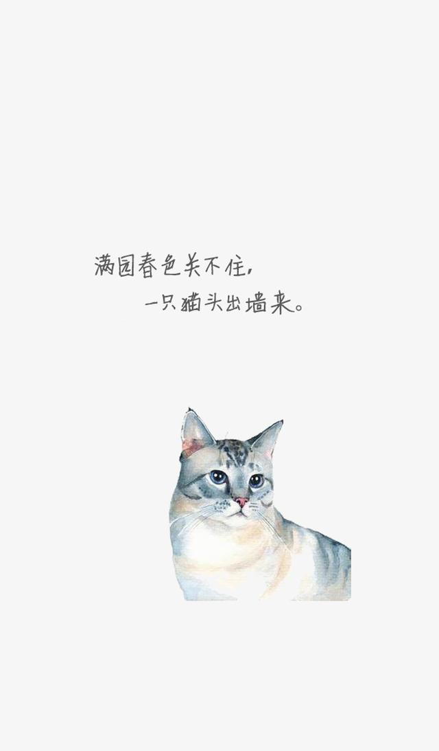 「美图 壁纸」你要的卡通猫咪壁纸