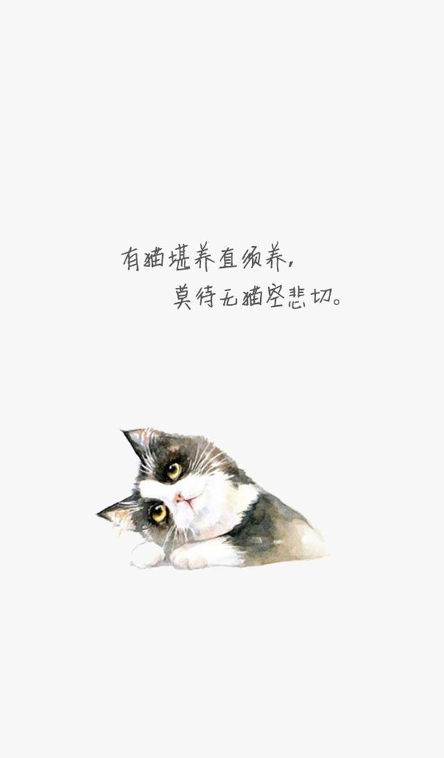 「美图 壁纸」你要的卡通猫咪壁纸