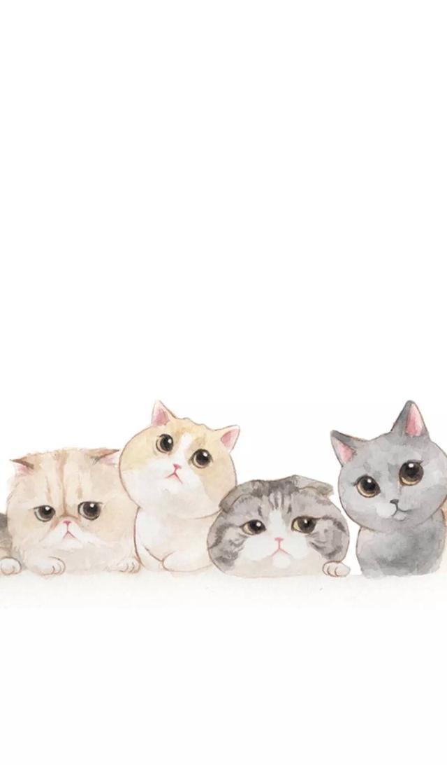 「美图 壁纸」你要的卡通猫咪壁纸