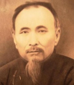 ​参加同盟会, 后来积极抗战的“南北大侠”杜心武