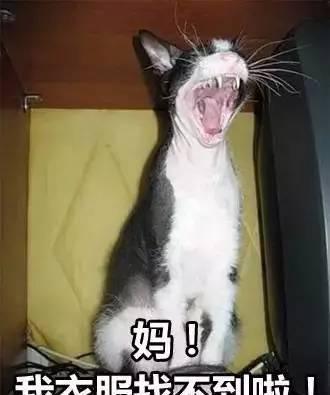 千万不要给你妈发这组表情包，要不然……