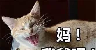 千万不要给你妈发这组表情包，要不然……