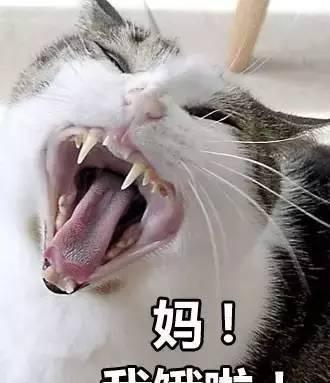 千万不要给你妈发这组表情包，要不然……