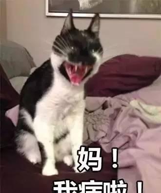 千万不要给你妈发这组表情包，要不然……