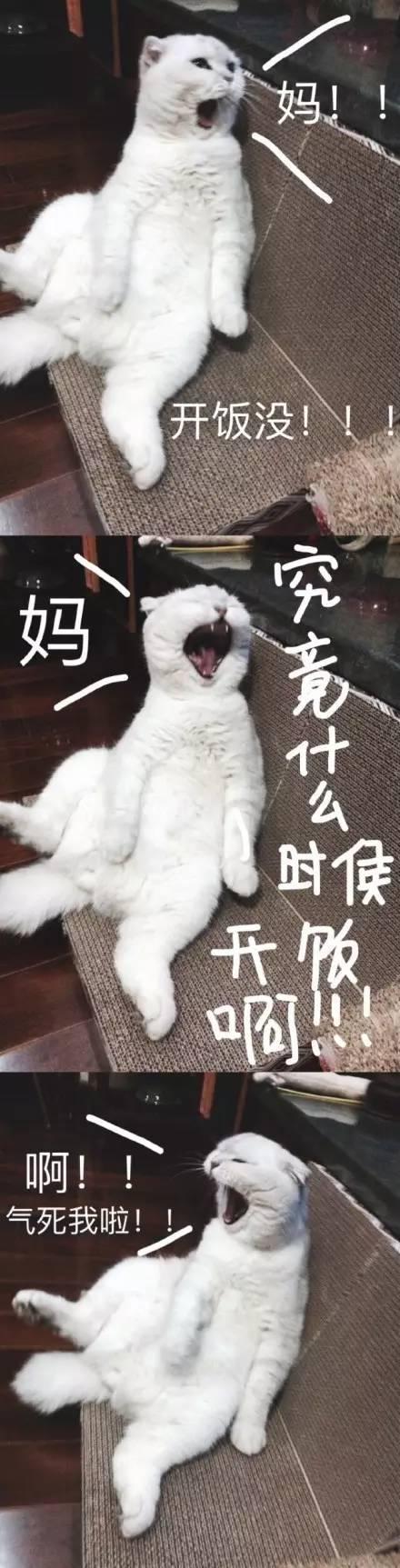 千万不要给你妈发这组表情包，要不然……