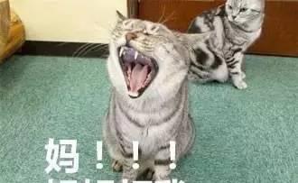 千万不要给你妈发这组表情包，要不然……