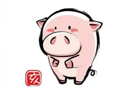 ​1971年出生的猪命怎么样 什么颜色最旺