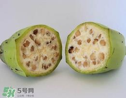 野香蕉可以吃吗？野香蕉怎么吃？