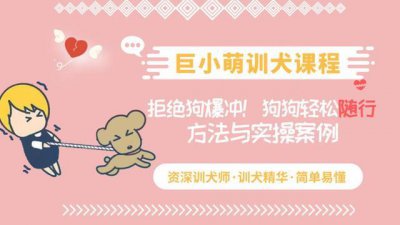 ​新手养狗必看：国内十大流行犬种横向对比