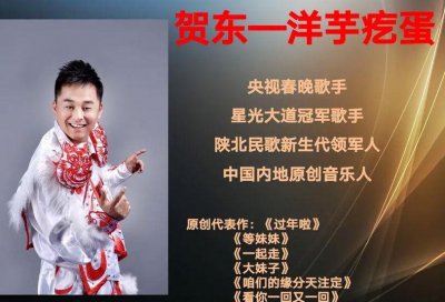 ​星光大道总冠军（星光大道总冠军李莉的歌曲）