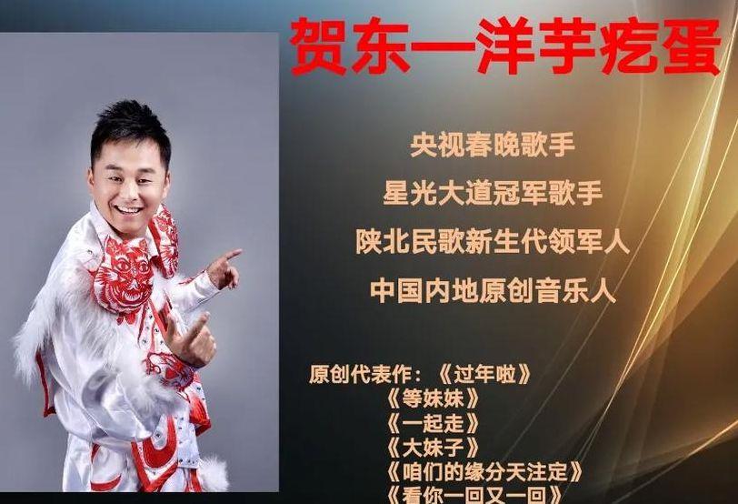 星光大道总冠军（星光大道总冠军李莉的歌曲）
