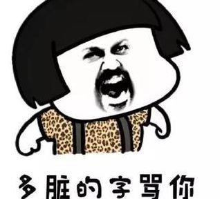 骂人套词（骂人套词押韵带脏字）