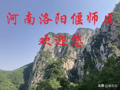 ​228.河南省洛阳偃师区概况