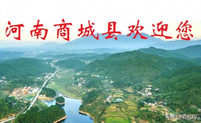 ​203.河南省商城县的概况