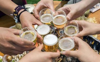 ​南非国王红酒价格  南非红酒多少钱