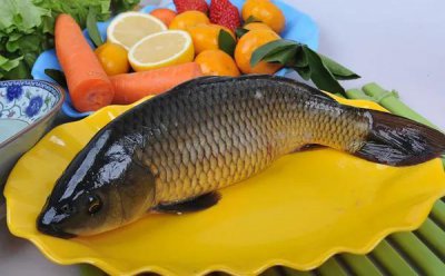 ​中国十种常见的食用鱼
