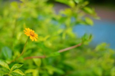 ​六月初五，传说中的农村的“鬼节”