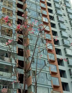​我，21年花7万元在云南个旧买了套房，如今肠子都悔青了