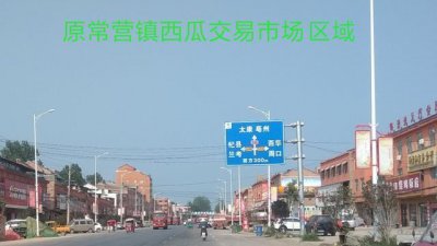 ​西瓜、油桃之乡-太康常营镇