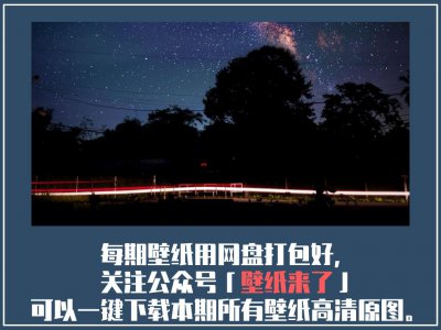 ​07/20 壁纸精选 - 史迪奇壁纸、手绘插画壁纸