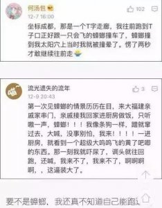 ​南北差异之蟑螂篇