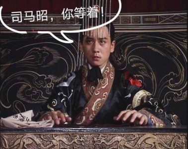 ​宗族子弟曹髦，如何得以继承皇位，展现皇帝血性