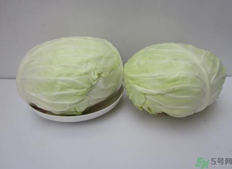 包菜榨汁要加水吗？包菜汁怎么做？