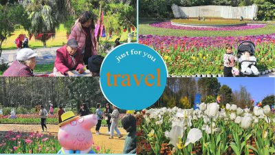 ​桂林旅游攻略 - 訾洲公园