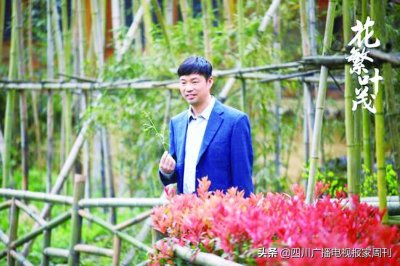 ​川籍演员王迅《花繁叶茂》带领乡亲脱贫攻坚